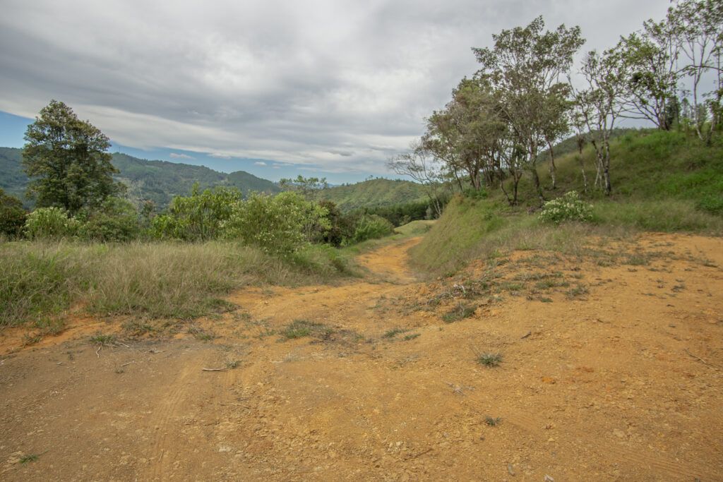 DSC03175