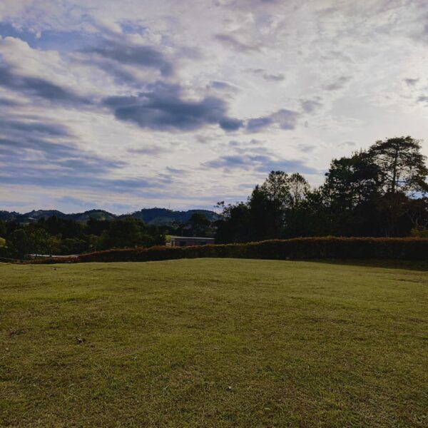 EL RETIRO 2.537m2