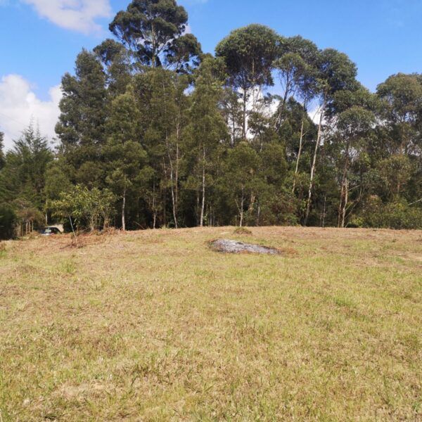 RIONEGRO 10.965m2