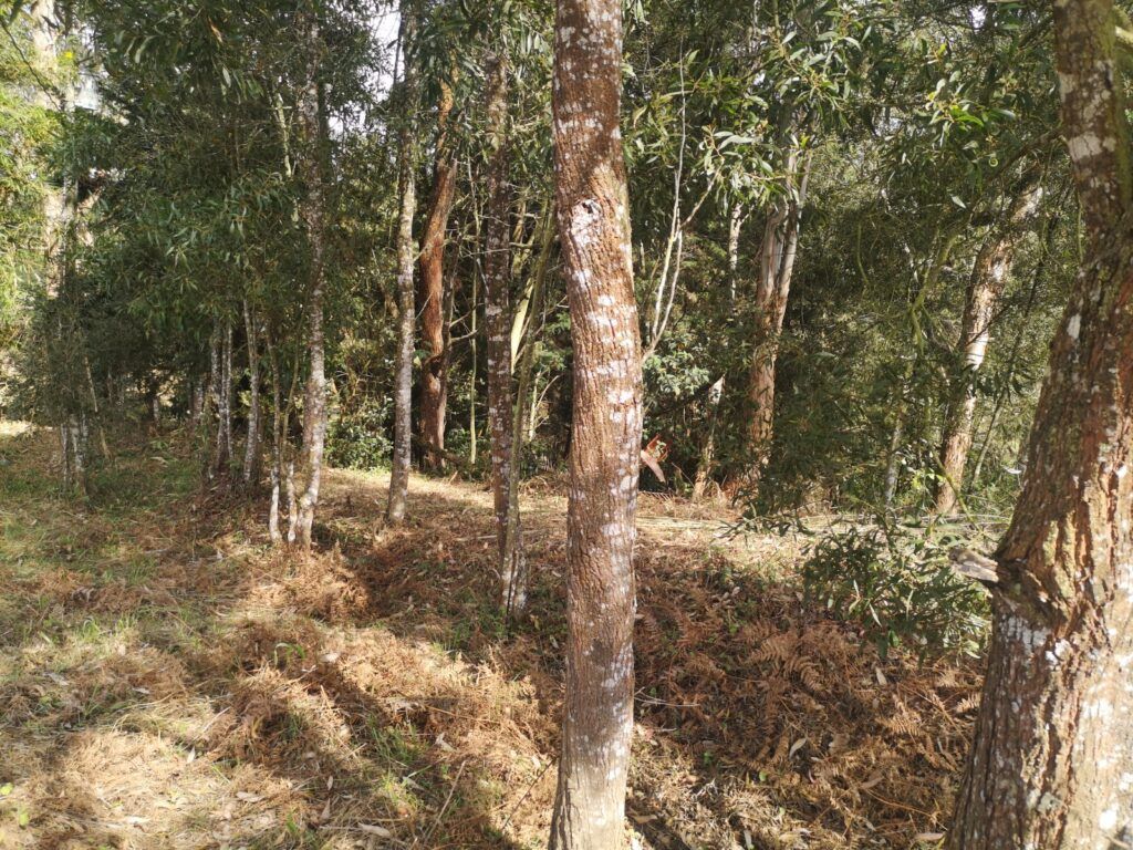 WhatsApp Image 2023-06-01 at 11.58.05 AM (9)