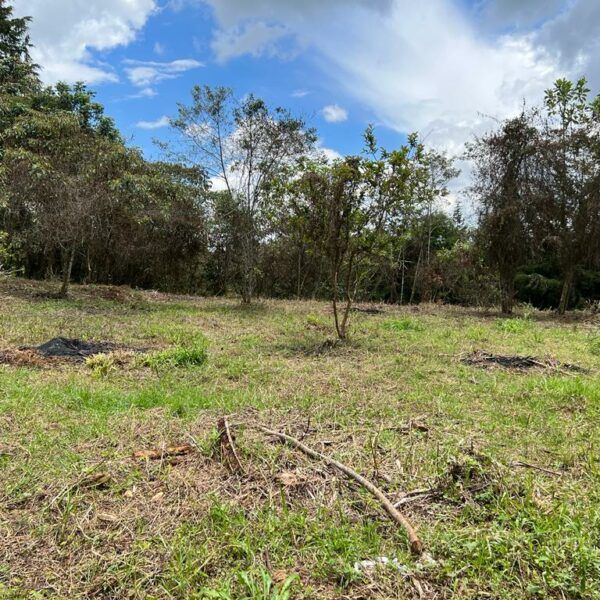 RIONEGRO 7.950m2