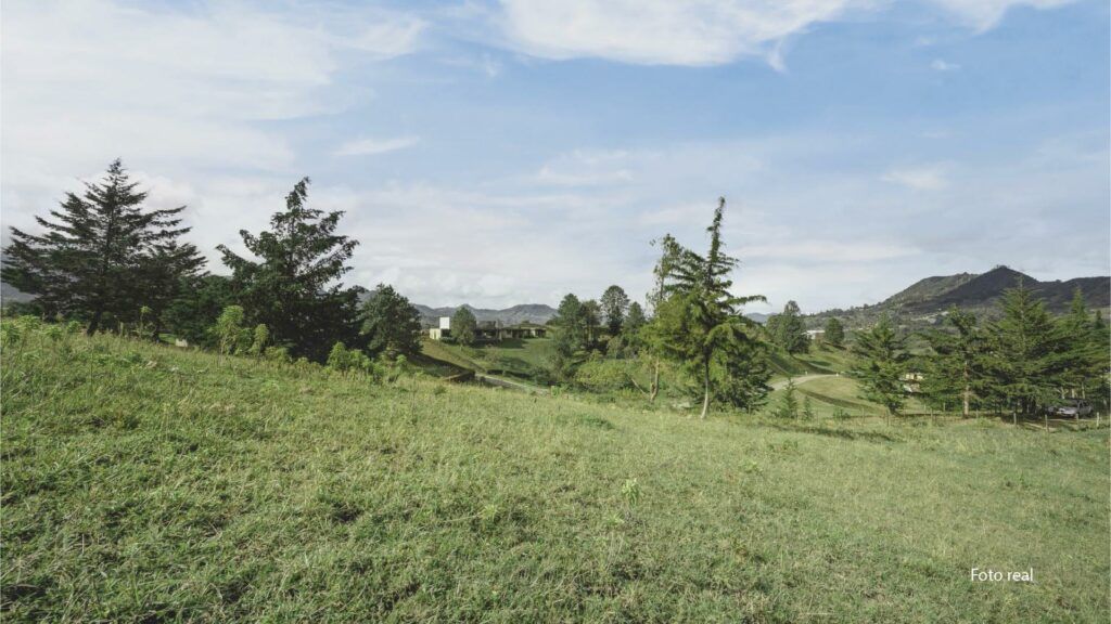 Lotes-25_0