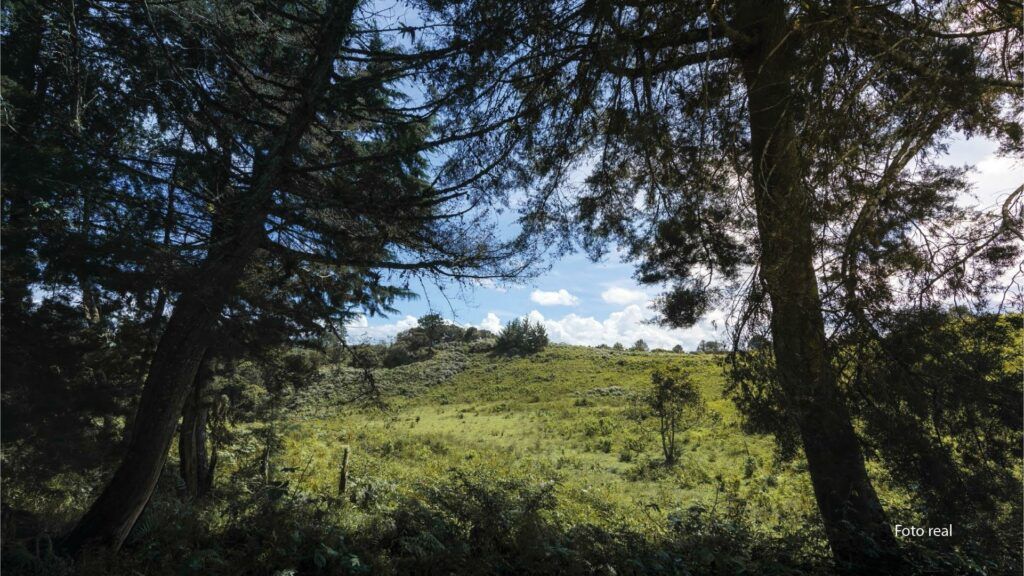 Lotes-27_0