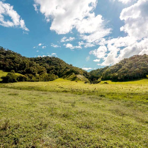 EL TAMBO 1.314m2