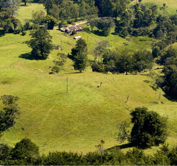LA CEJA 1.104m2