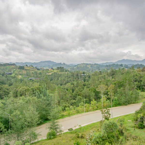 EL RETIRO 2.500m2
