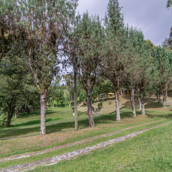 ALTO DE LAS PALMAS 250m2