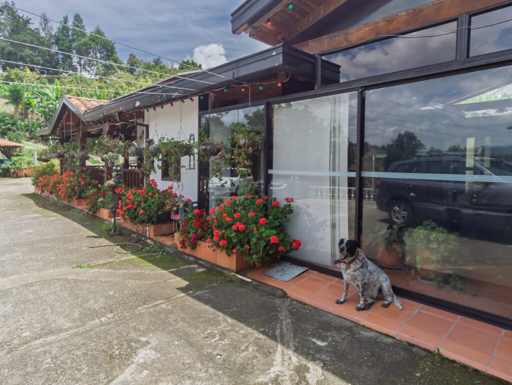 DSC09730-HDR