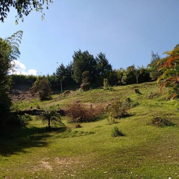LOTE EN RIONEGRO 17.718m2