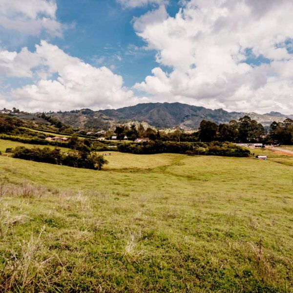EL TAMBO 1.383m2