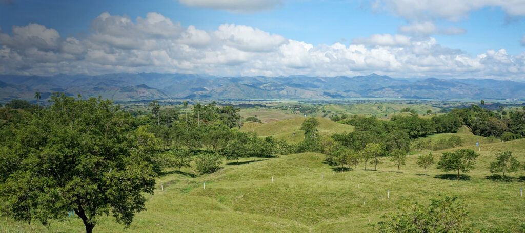 La-Trinidad-02