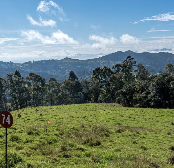 ALTO DE LAS PALMAS 983m2