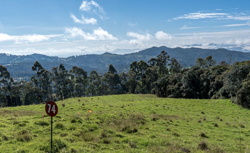 Lotes-alto-de-las-palmas