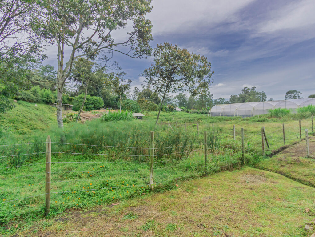 DSC04336