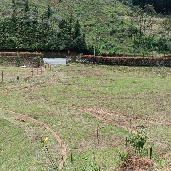 RIONEGRO 11.500m2