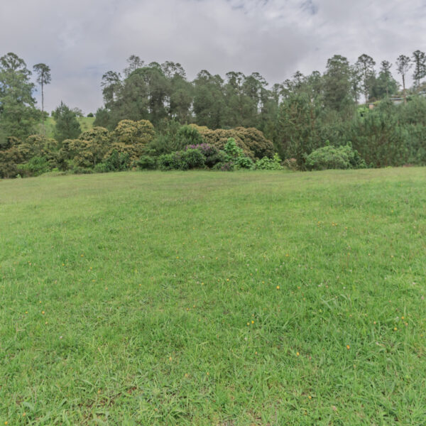 EL RETIRO 6.204m2